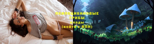 mdpv Алексеевка