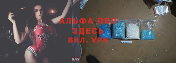 спиды Алзамай