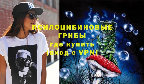 хмурый Алексин