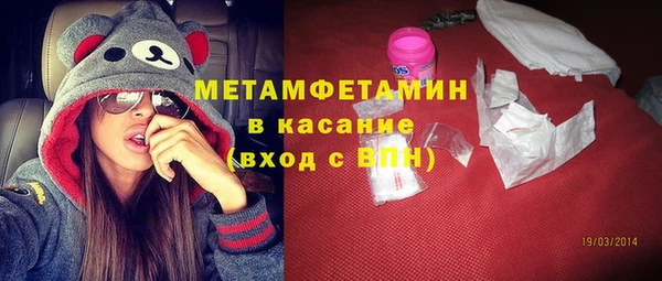 хмурый Алексин