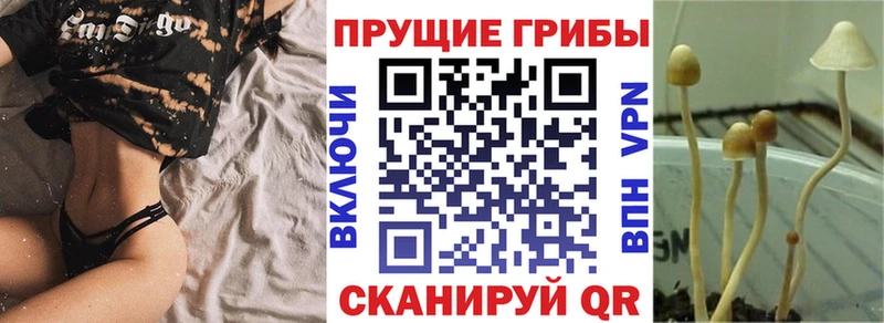 Псилоцибиновые грибы ЛСД  закладка  Ахтырский 